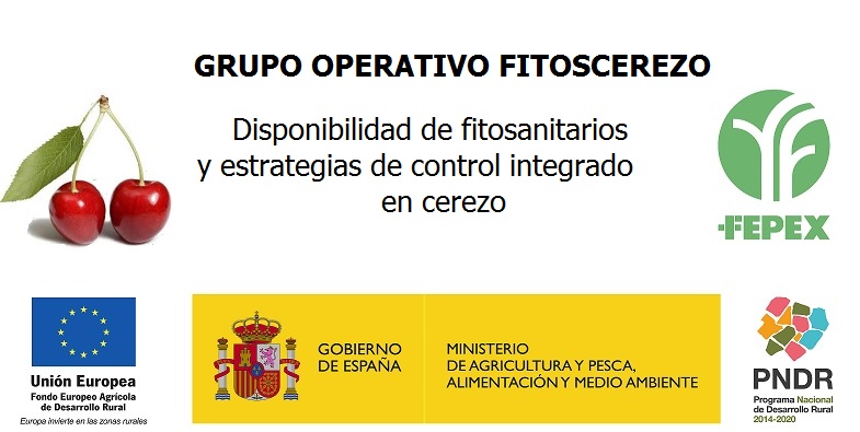 GRUPO OPERATIVO FITOSCEREZO